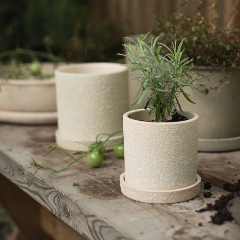 Grow Pot Large - Creme structure