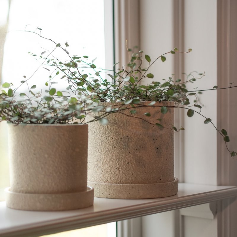 Grow Pot Large - Creme structure